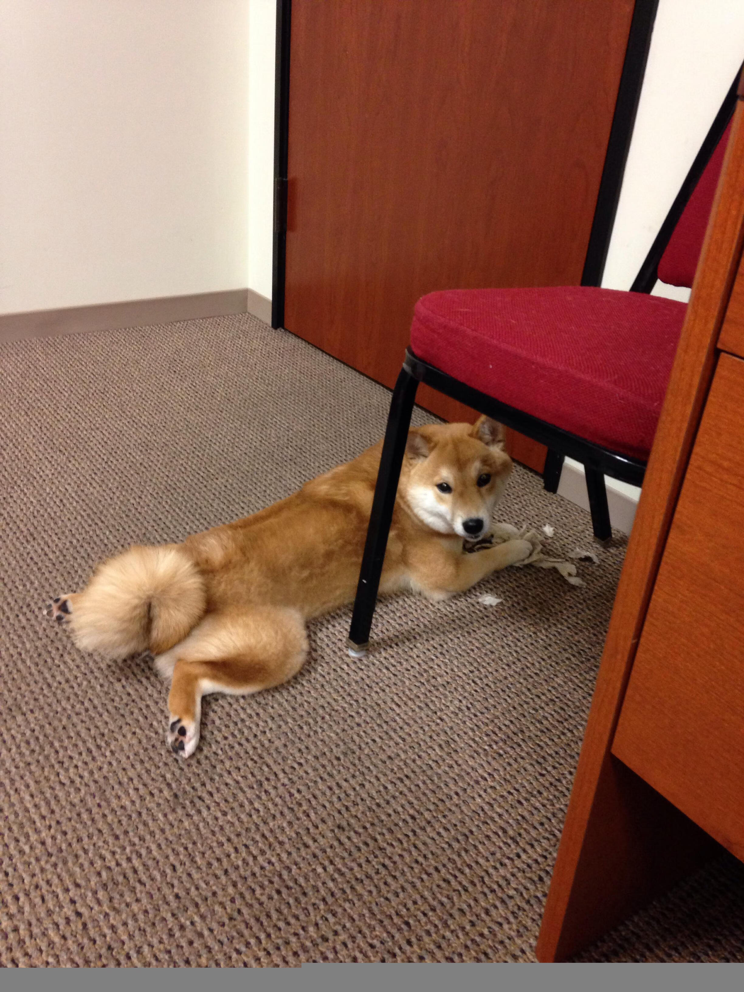 鏖战中的孤独统治者，当马来西亚队的铜墙铁壁，遇见辛杜的陨星之火