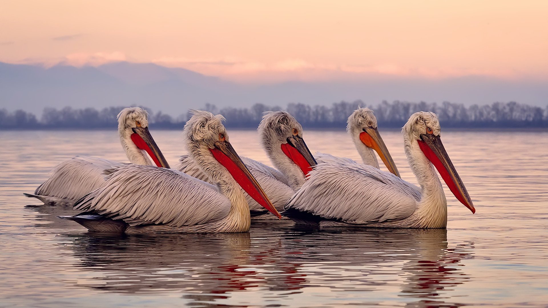 熔炉与火焰,当韩国队的钢铁防线遇见李梓嘉的星火时刻