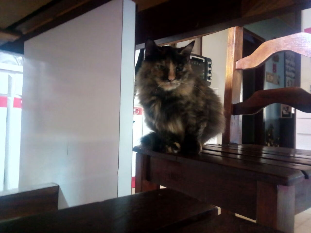 美加墨足篮混合世界杯爆冷,北京队加时淘汰森林狼