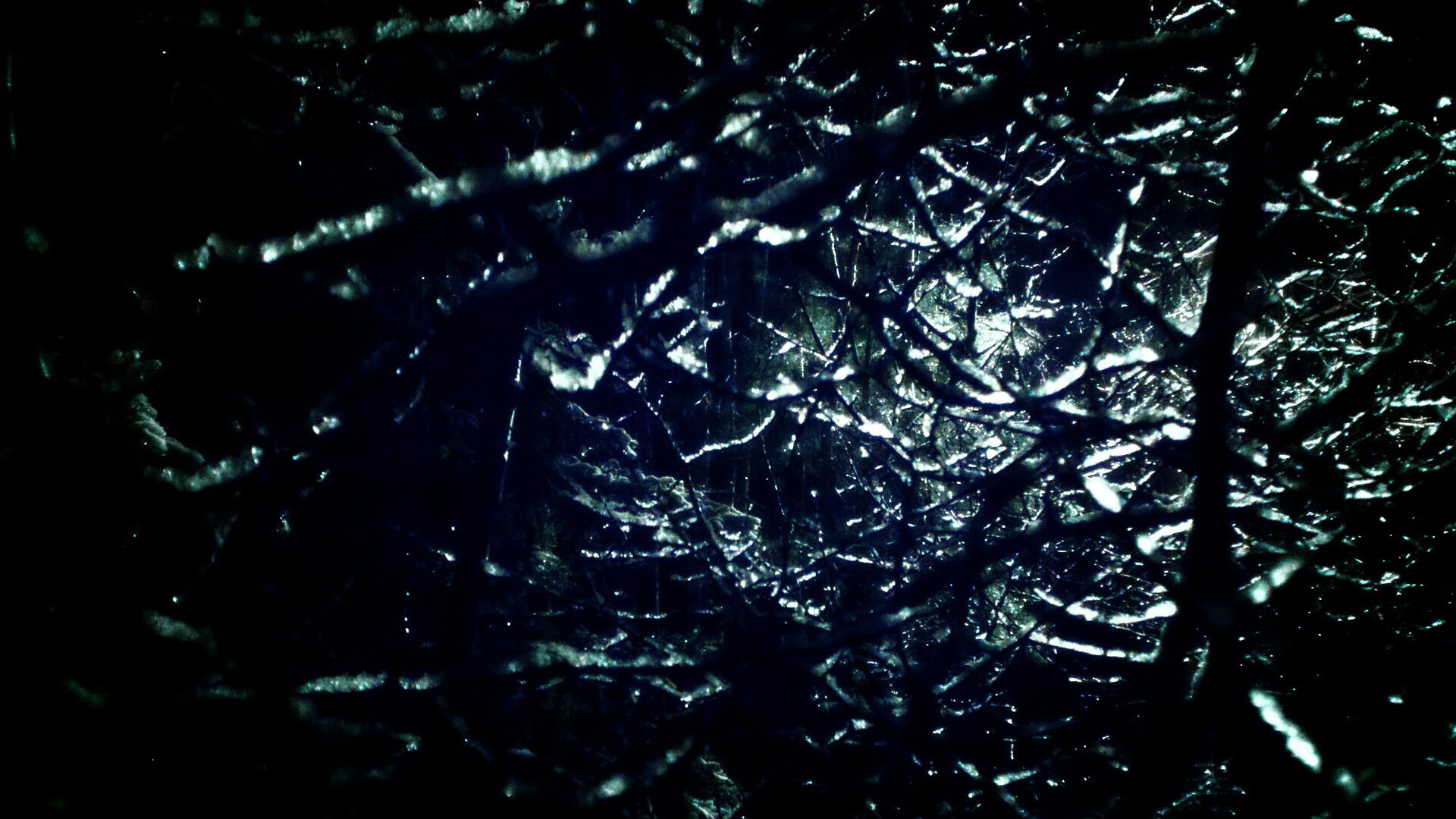 F1年度争冠之夜，迪马利亚如何以跨界英雄之姿赢得全场最佳