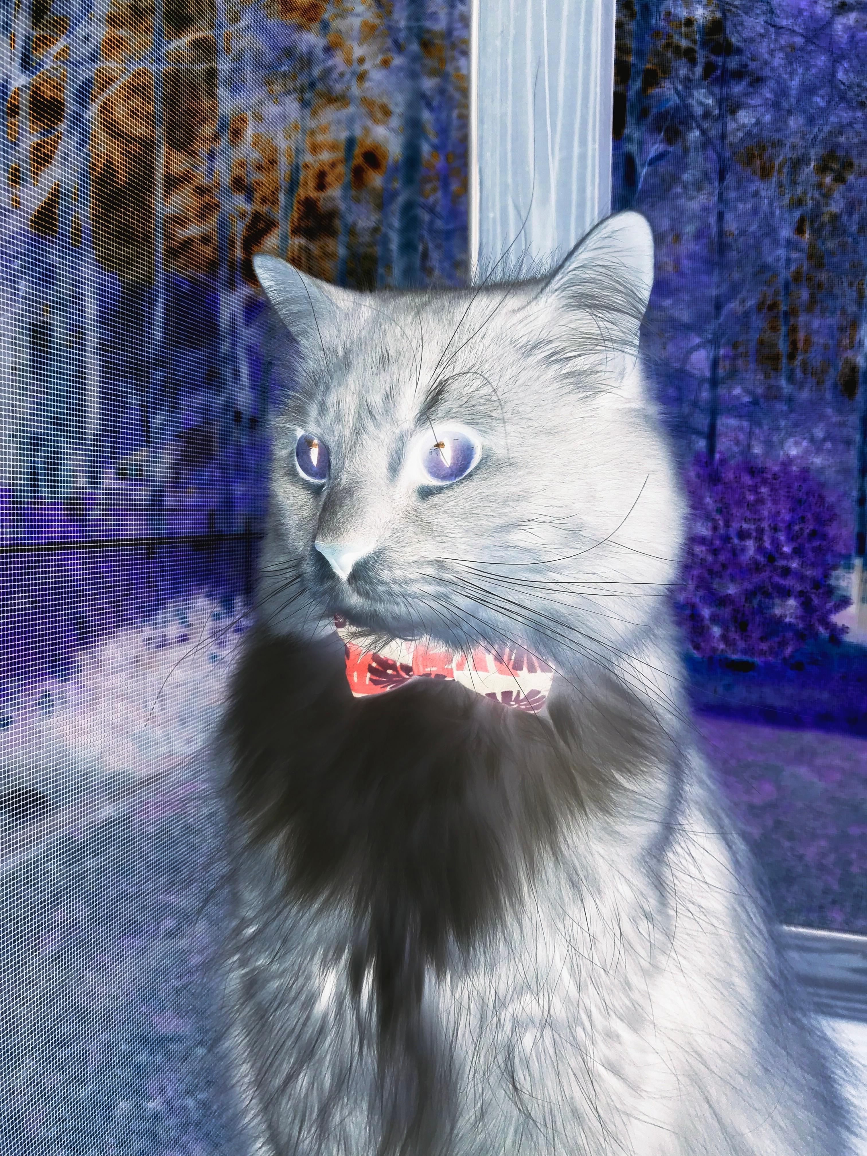 轻取骑士笑纳四连胜,武切维奇单骑救主定乾坤