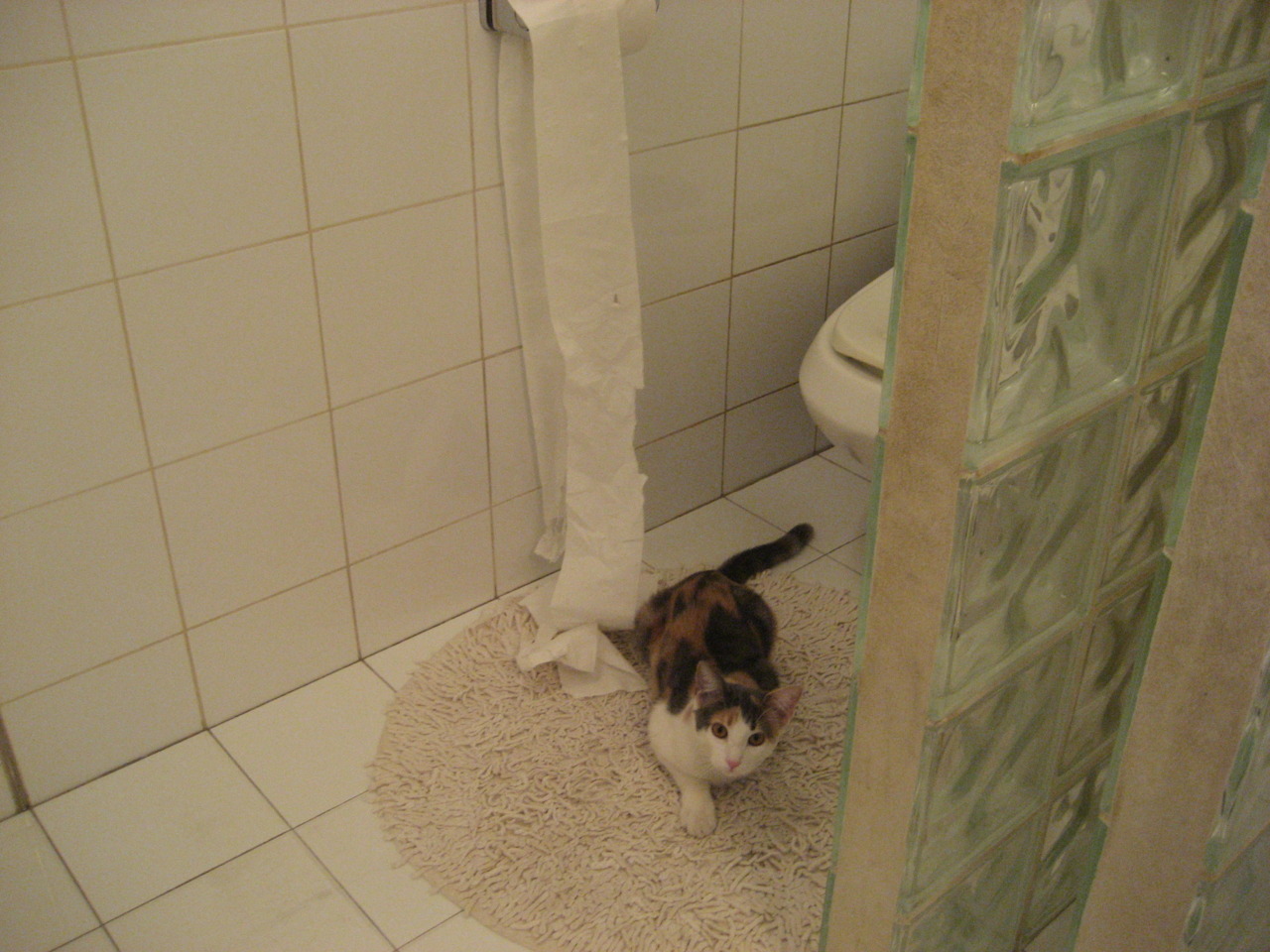 乌克兰绝杀AC米兰,奇迹的一夜