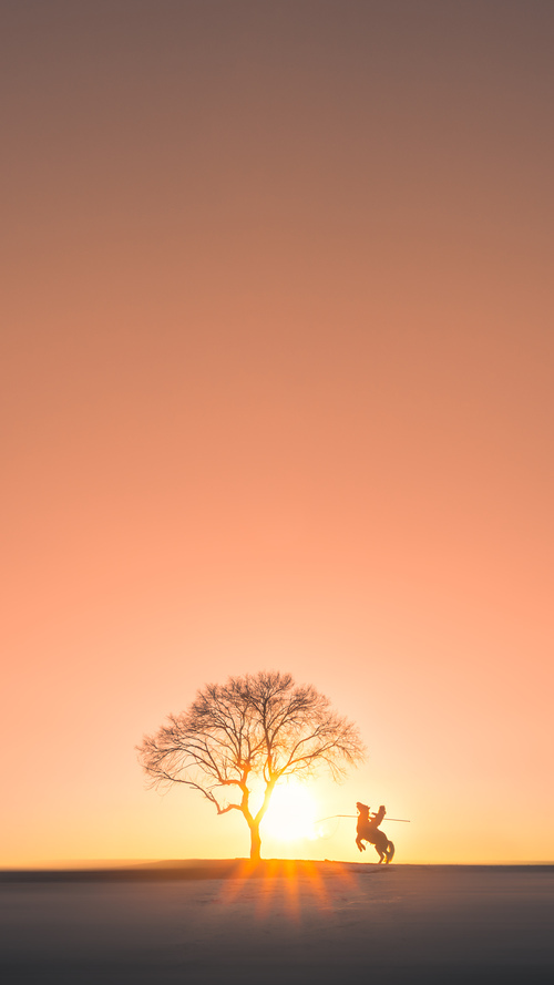 爱游戏tv-从沉默到轰鸣，班凯罗的制胜一跃与国王的战术交响