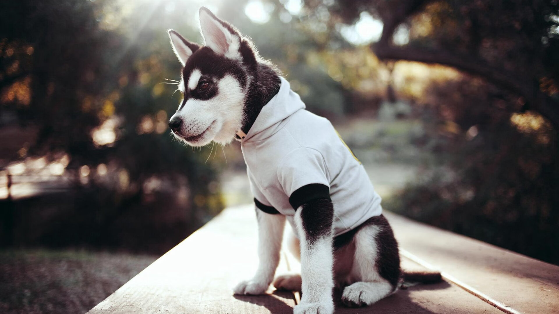 爱游戏体育-无声锁链，总决赛之夜，阿尔瓦雷斯铸就的防守叹息之墙