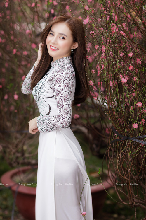 街巷与草场，两种野性的统治律动