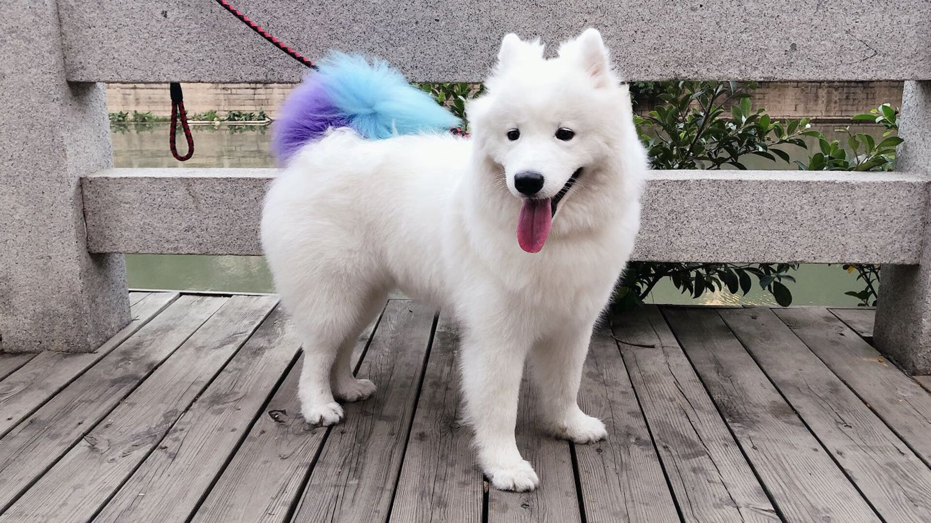 黄喜灿的证明之战，卡塔尔对阵安哥拉焦点战全解析