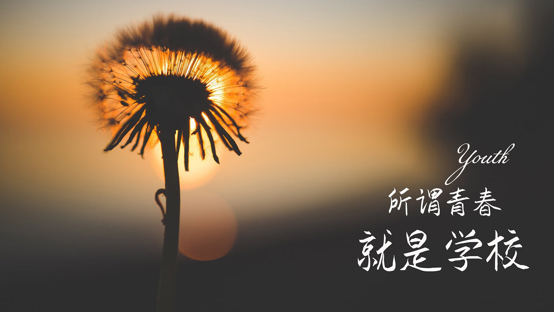 爱游戏-橙色风暴中的孤勇者，莫德里奇与门神的终极对话—2026世界杯半决赛荷兰对罗马尼亚的永恒瞬间